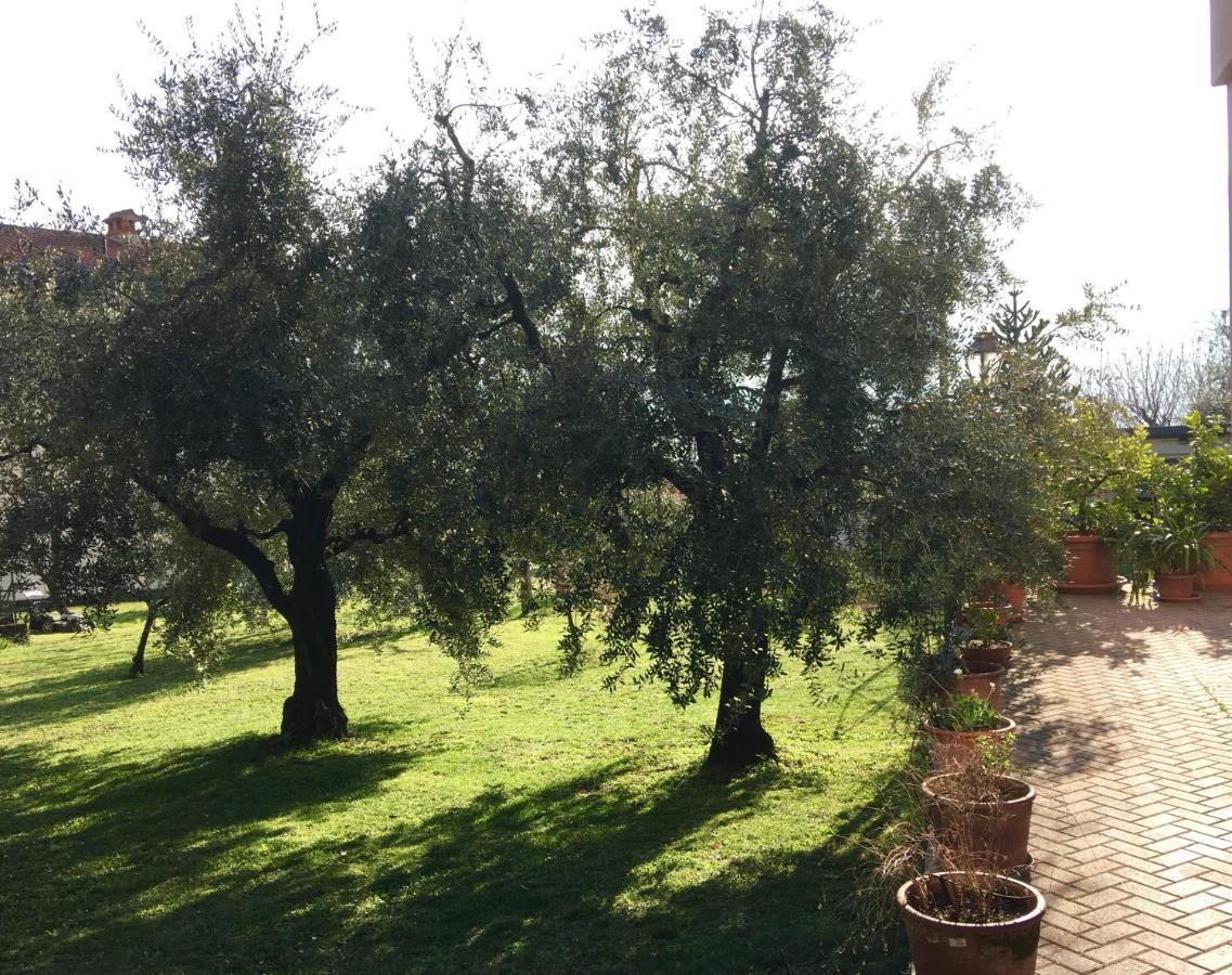 Ferienwohnung La Casa Degli Ulivi Lierna Exterior foto